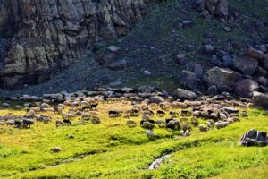 mountain, plateau, nature-3421872.jpg